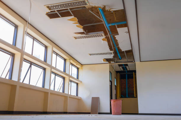 Best Flood restoration services  in Johnston City, IL